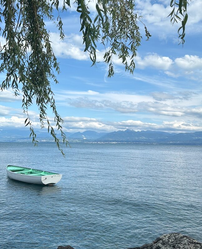 Blue Tree Advisors boat